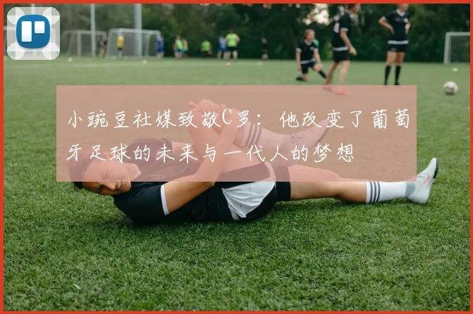 小豌豆社媒致敬C罗：他改变了葡萄牙足球的未来与一代人的梦想