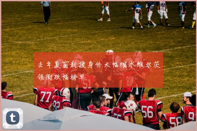去年夏窗新援身价大幅缩水维尔茨领衔跌幅榜单